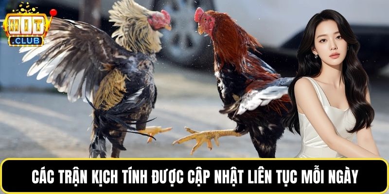 Các trận kịch tính được cập nhật liên tục mỗi ngày