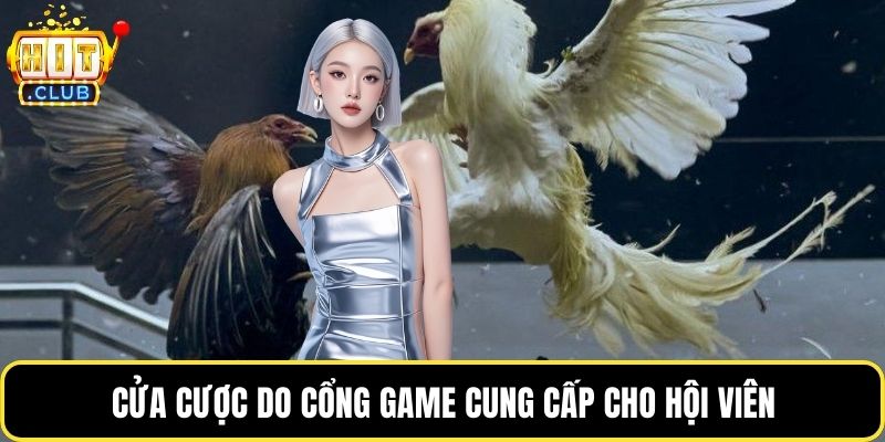 Cửa cược do cổng game cung cấp cho hội viên