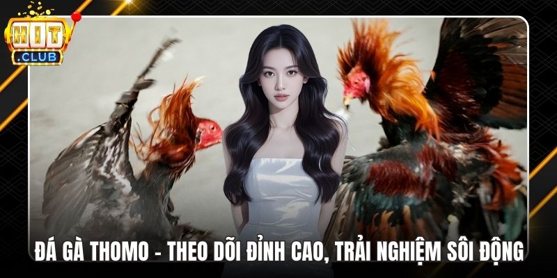 Đá gà Thomo