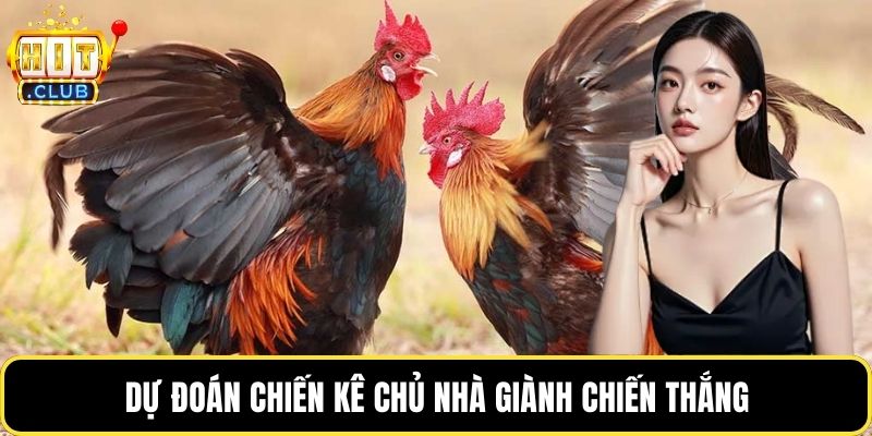 Dự đoán chiến kê chủ nhà giành chiến thắng