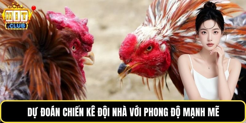 Dự đoán chiến kê đội nhà với phong độ mạnh mẽ