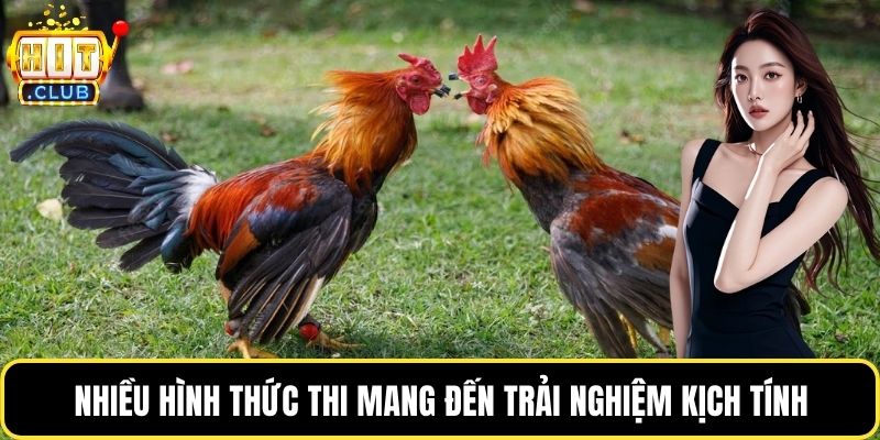 Nhiều hình thức thi mang đến trải nghiệm kịch tính