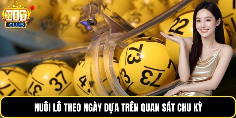 Nuôi lô theo ngày dựa trên quan sát chu kỳ
