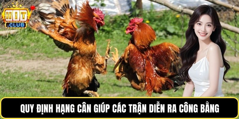 Quy định hạng cân giúp các trận diễn ra công bằng