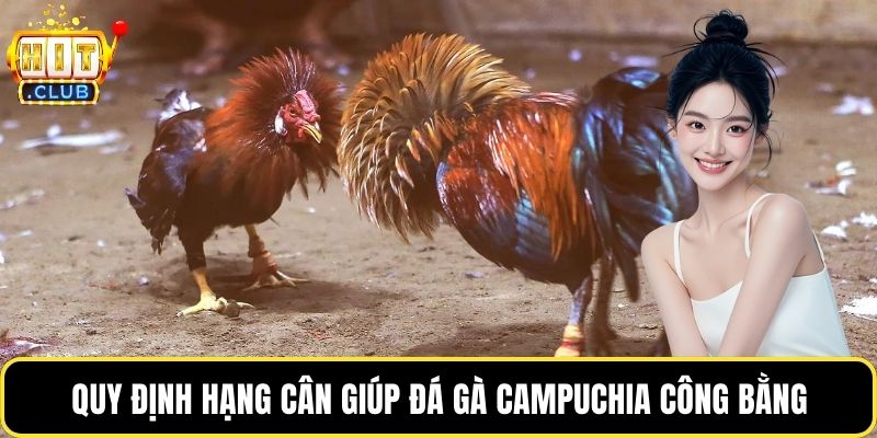 Quy định hạng cân giúp đá gà Campuchia công bằng