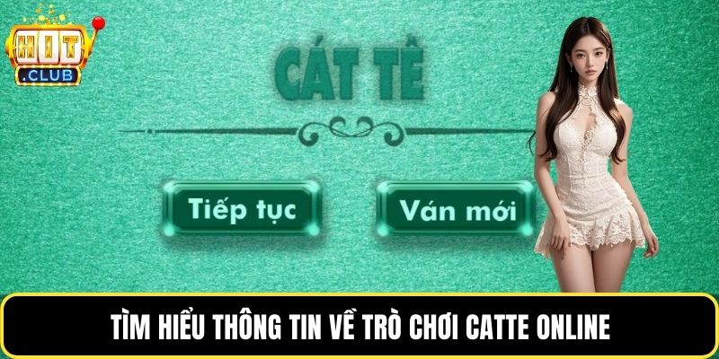 Tìm hiểu thông tin về trò chơi catte online