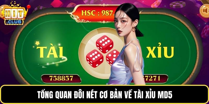 Tổng quan đôi nét cơ bản về tài xỉu MD5