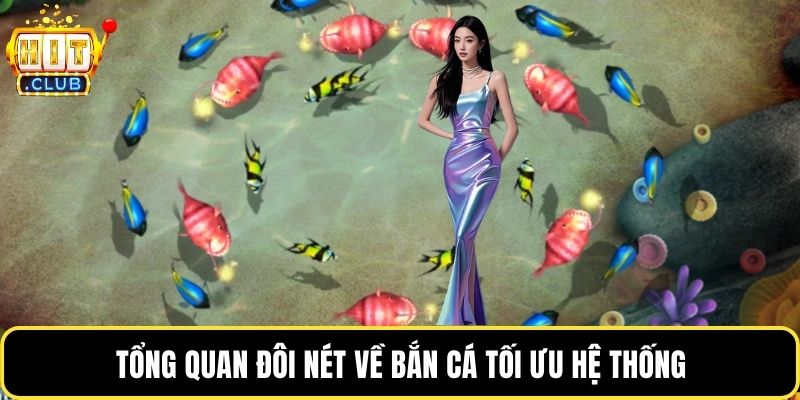 Tổng quan đôi nét về bắn cá tối ưu hệ thống