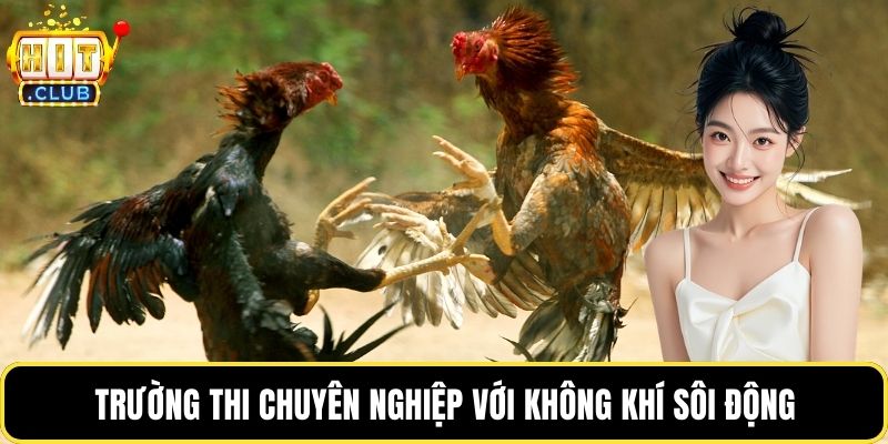 Trường thi chuyên nghiệp với không khí sôi động